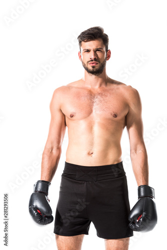 muscular Boxer looking at camera Isolated On White