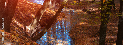 Autumn landscape of the forest on the shore of the lake