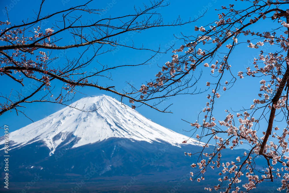 Mt. Fuji in the spring time with cherry blossoms at kawaguchiko Fujiyoshida, Japan. Mt. Fuji in the spring time with cherry blossoms at kawaguchiko Fujiyoshida, Japan.