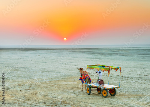 Colorful Indian Camel cart at White Rann, In Kutch, Gujarat, India  photo