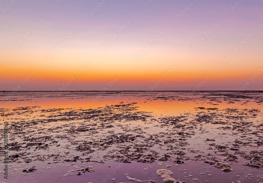 Sunset scene in Wild Ass Sanctuary, Gujarat, India 