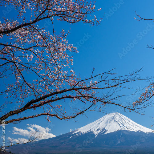 Mt. Fuji in the spring time with cherry blossoms at kawaguchiko Fujiyoshida, Japan.