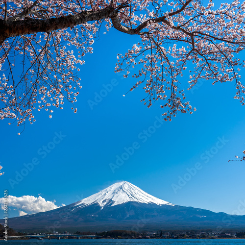 Mt. Fuji in the spring time with cherry blossoms at kawaguchiko Fujiyoshida, Japan.
