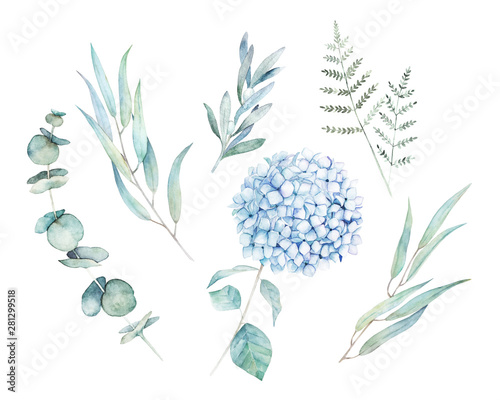 Watercolor greenery set. Hand drawn winter illustration with eucalyptus branc...