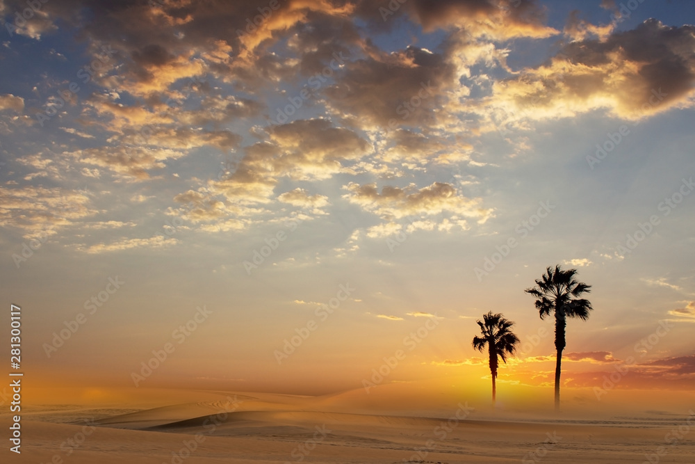 two palm trees in the desert against the bright sky