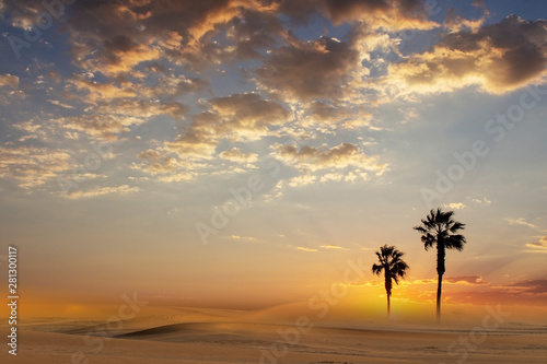 two palm trees in the desert against the bright sky © Yuliia Lakeienko