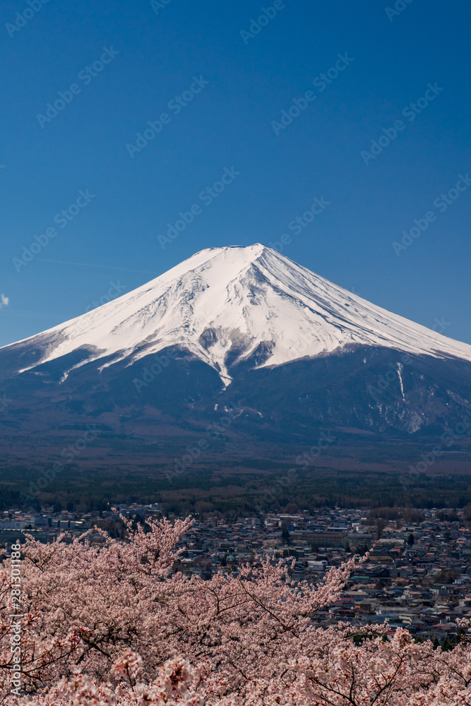 Mt. Fuji in the spring time with cherry blossoms at kawaguchiko Fujiyoshida, Japan. Mt. Fuji in the spring time with cherry blossoms at kawaguchiko Fujiyoshida, Japan.