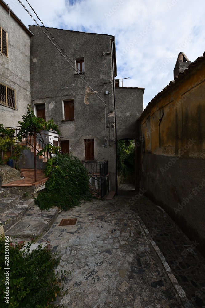 Naklejka premium cleto