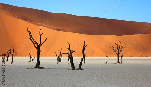 Dead trees and sand dunes at Deadvlei Namibia.