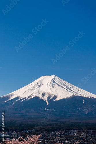 Mt. Fuji in the spring time with cherry blossoms at kawaguchiko Fujiyoshida, Japan.