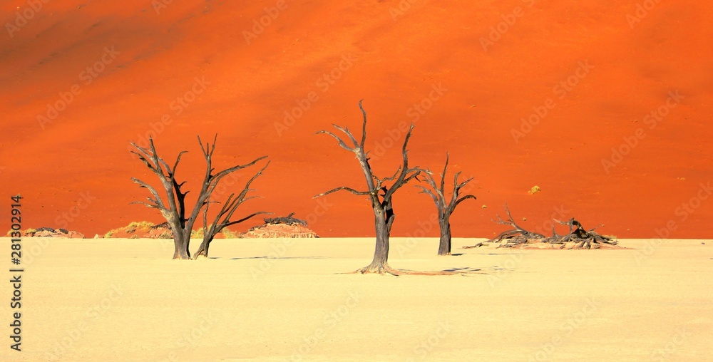 Dead trees and sand dunes at Deadvlei Namibia. Dead trees and sand dunes at Deadvlei Namibia.