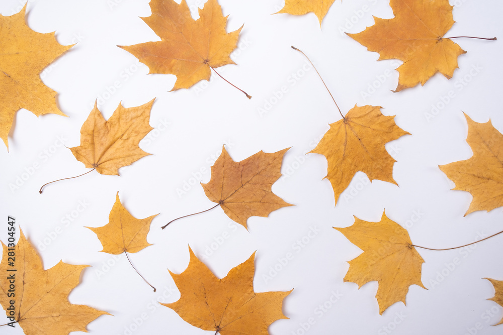 Autumn composition Pattern made of autumn leaves Flat lay, top view, copy space Season school theme