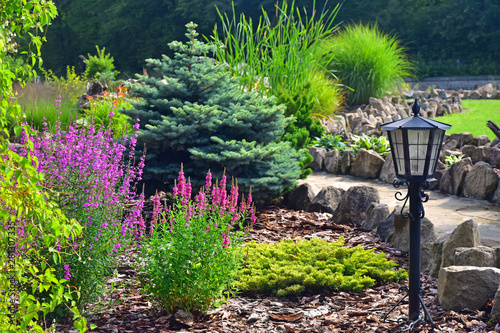 Billede på lærred Colorful garden plants with conifers lamp stone path
