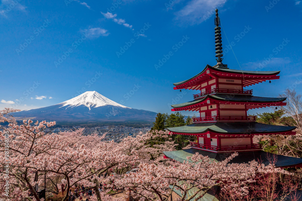 Chureito Pagoda and Mt. Fuji in the spring time with cherry blossoms at Fujiyoshida, Japan.
