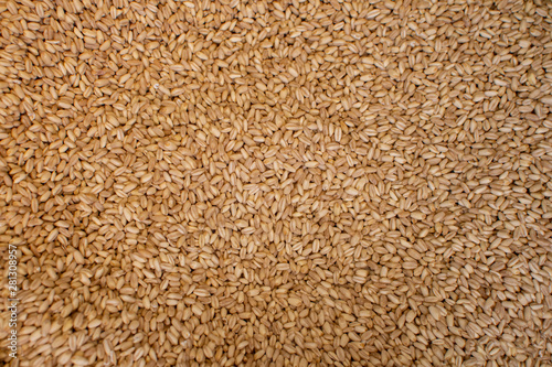 Close up of organic wheat grain for sale at Kemeralti market in Izmir in Turkey.