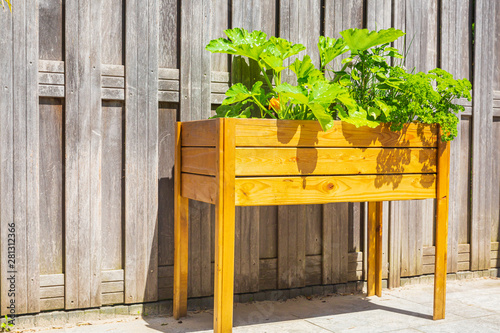 Fotografie Wooden design potager kitchen table with vegetables and herbs in a garden