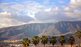 View with palm trees and mountains in Costa Adeje - one of the favorite tourist destinations of Tenerife,Canary Islands,Spain.Summer vacation or travel concept.Soft focus.
