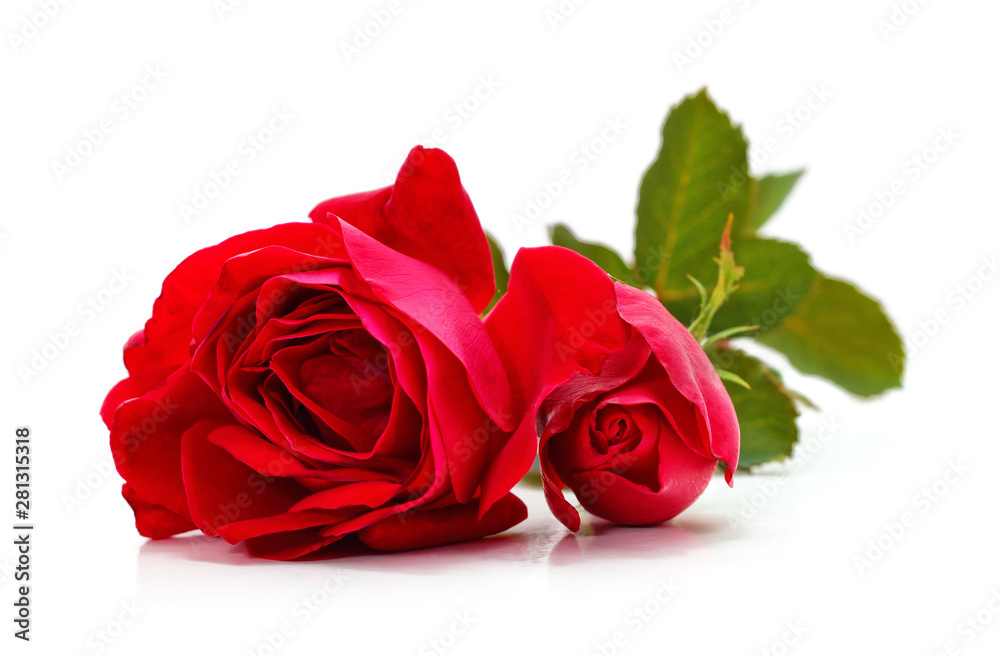 Bouquet red roses. Bouquet red roses.