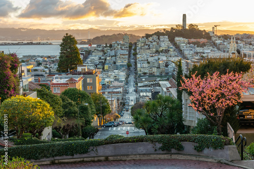 Photography Sakura blossoms on Lombard Street