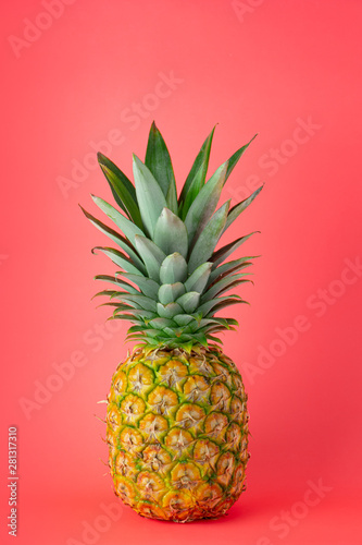 pineapple on coral pink background