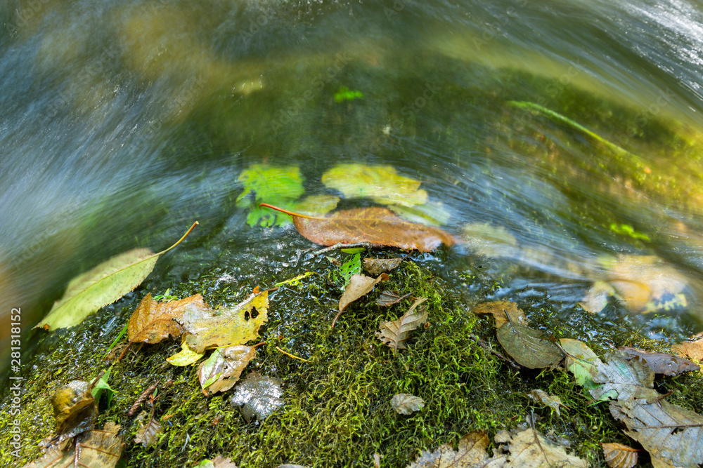 Fototapeta premium Colourful Fallen leaves on top of a rock with moss and running water.