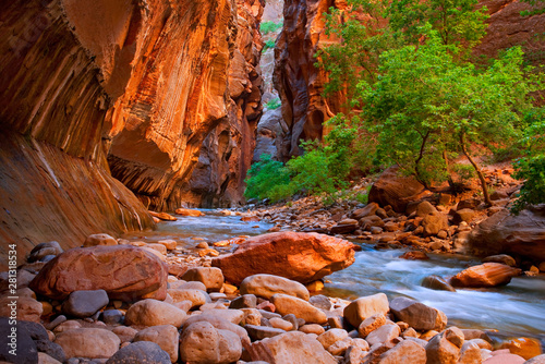 Canvas Print The Narrows hike in the Virgin River of Zion National Park.