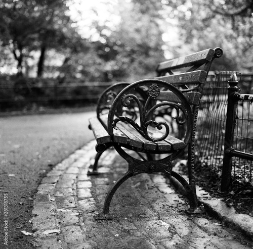 Park bench in central park photo