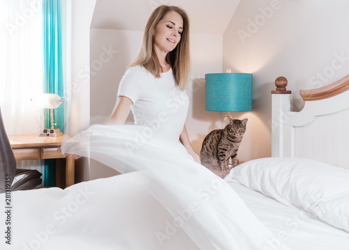 Photography Calm ocicat cat watching his owner making her bed in the morning