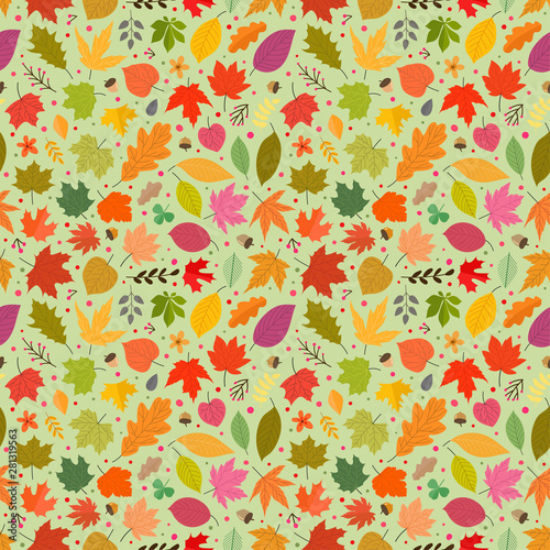 Seamless pattern of colorful autumn leaves. Vector seamless background