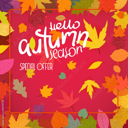 Autumn colorful leaves frame. Hello autumn season