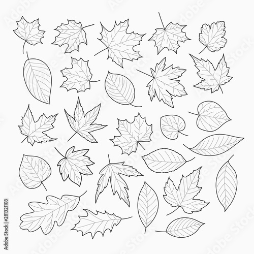 Autumn leaves vector banner. Vector template