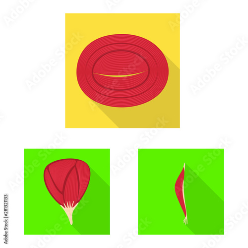 Isolated object of muscle and cells logo. Set of muscle and anatomy stock symbol for web.