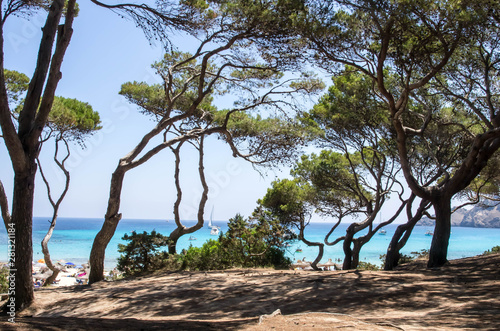 cala agulla à Majorque