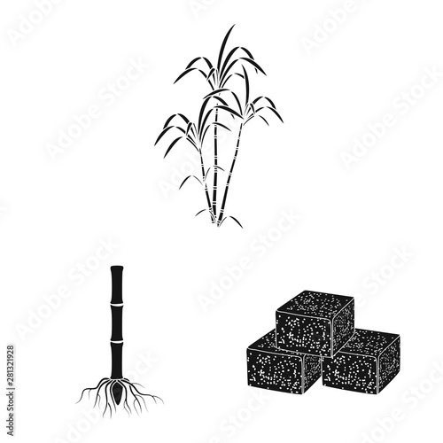 Isolated object of sucrose and technology symbol. Set of sucrose and cane vector icon for stock.
