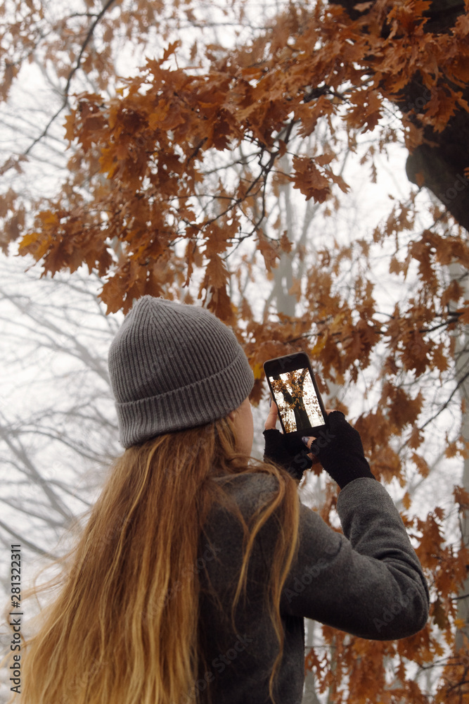 Anonymous woman taking picture of autumn tree Anonymous woman taking picture of autumn tree