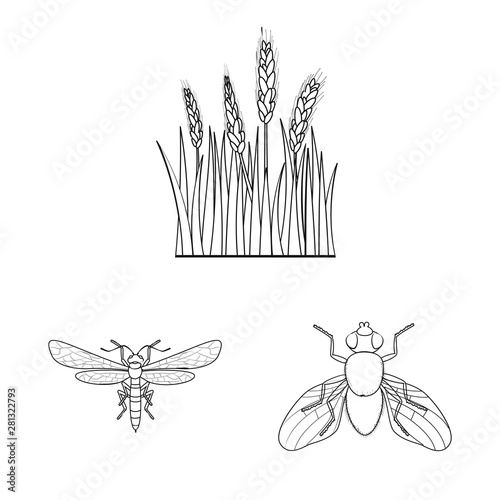 Isolated object of agriculture and farming icon. Collection of agriculture and plant stock symbol for web.