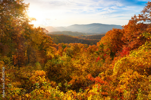 Autumn Burst In The Smoky Mountains photo