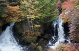 Japanese waterfall in forest at autumn. Nikko, Tochigi, Japan