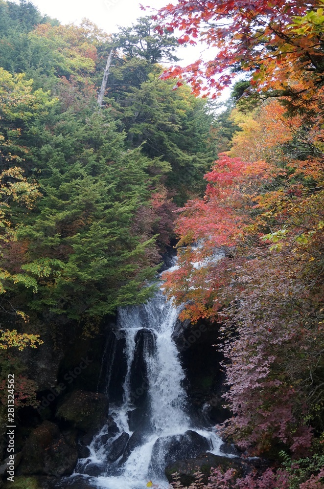 Japanese waterfall in forest at autumn. Nikko, Tochigi, Japan Japanese waterfall in forest at autumn. Nikko, Tochigi, Japan