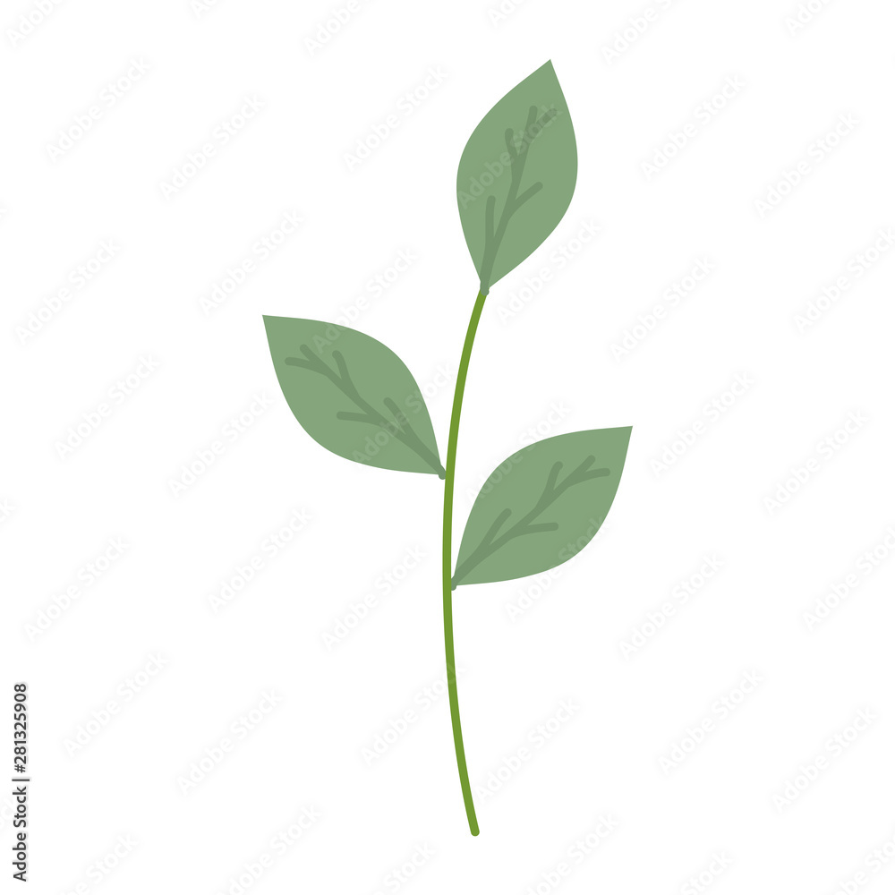 branch with leafs plants garden branch with leafs plants garden