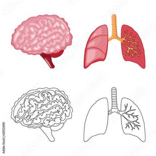 Isolated object of biology and scientific symbol. Collection of biology and laboratory stock symbol for web.