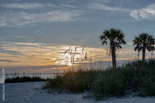 Landscape of the beach with palm trees and sea grasses and the ocean in the distance at sunset