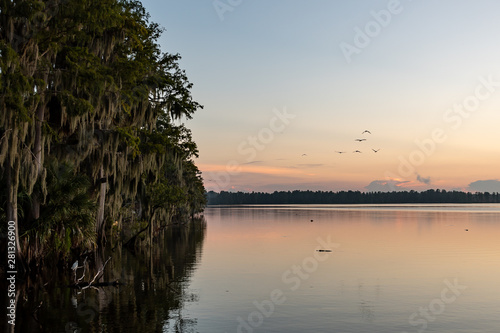 Sunrise view over the lake with mossy trees and birds in Florida