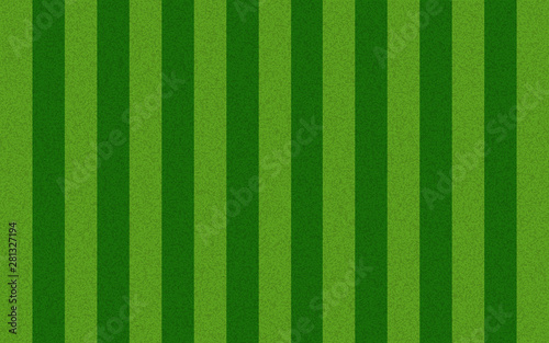 Grass texture  stripe field background .