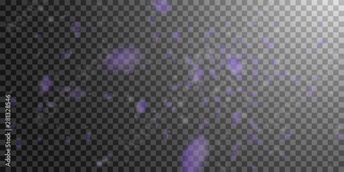Violet flower petals falling down. Admirable roman