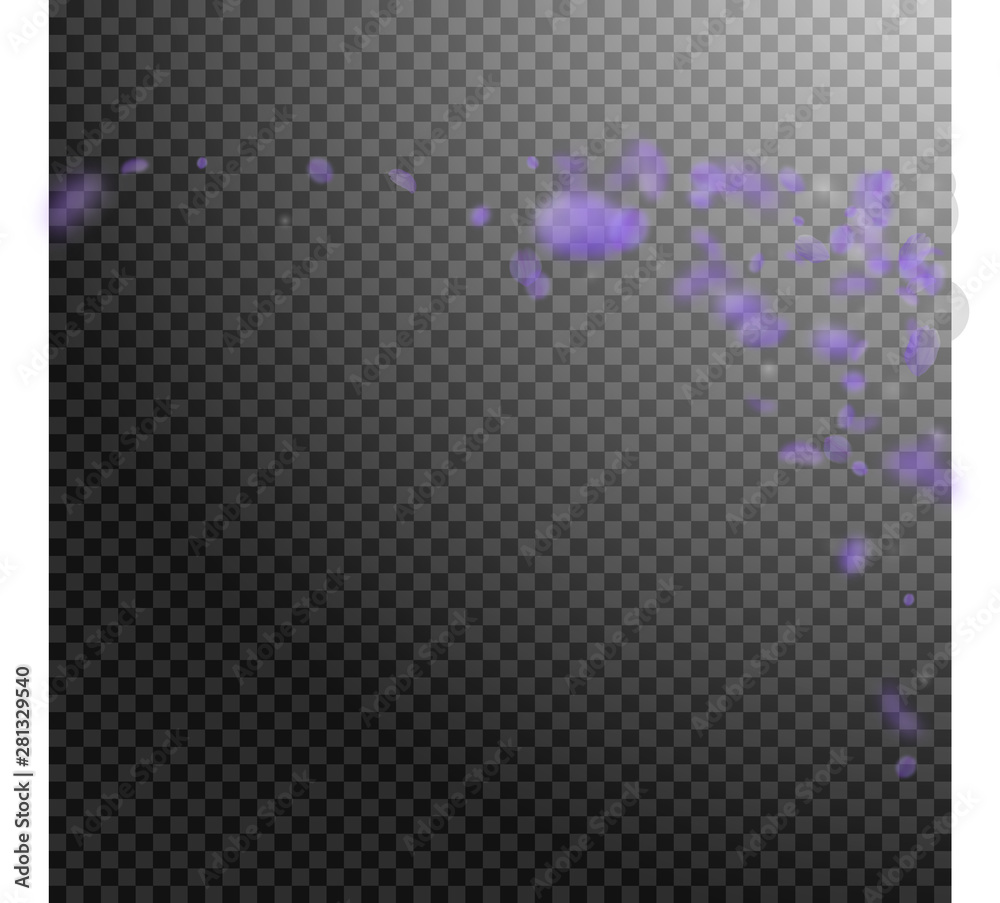 Violet flower petals falling down. Fancy romantic Violet flower petals falling down. Fancy romantic