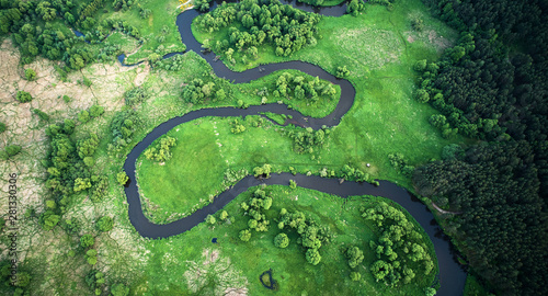 Fotografie Aerial landscape - wild river in summer