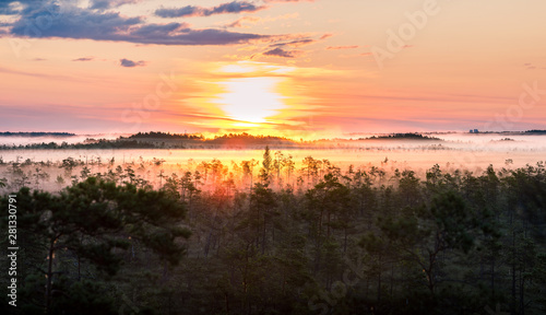 Warmly colored sunrise over a foggy swamp. Aerial view of stunning landscape at peat bog at Cenas Tirelis in Latvia. Wooden trail leading along the lake surrounded by pounds and forest.  photo