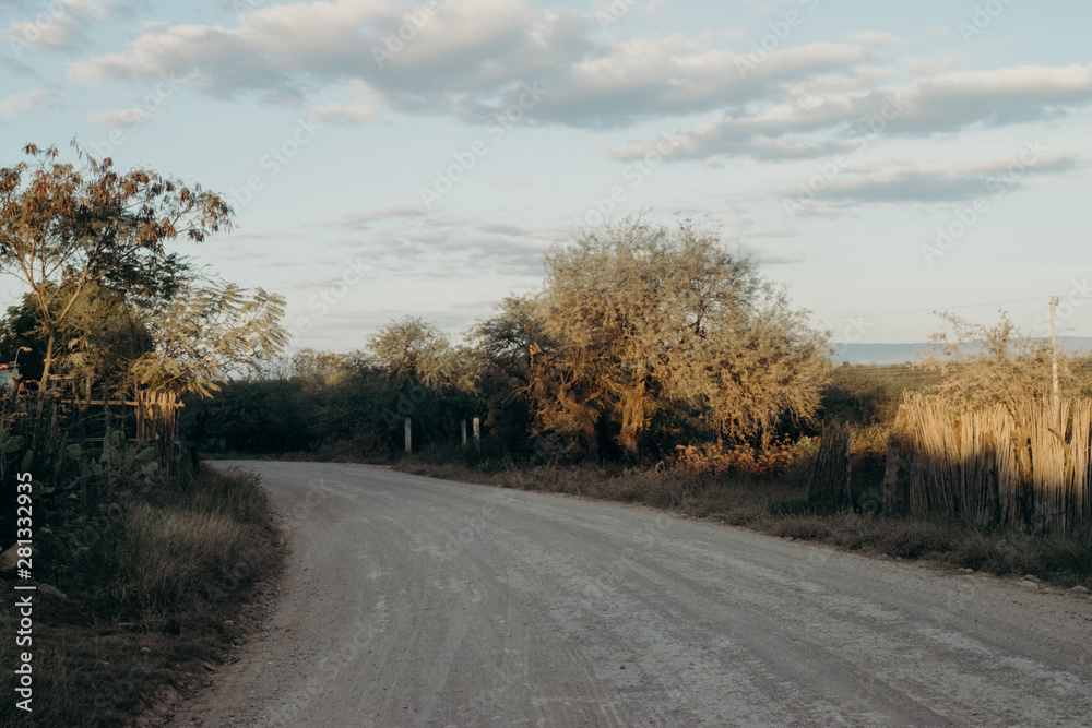 Fototapeta premium road in winter