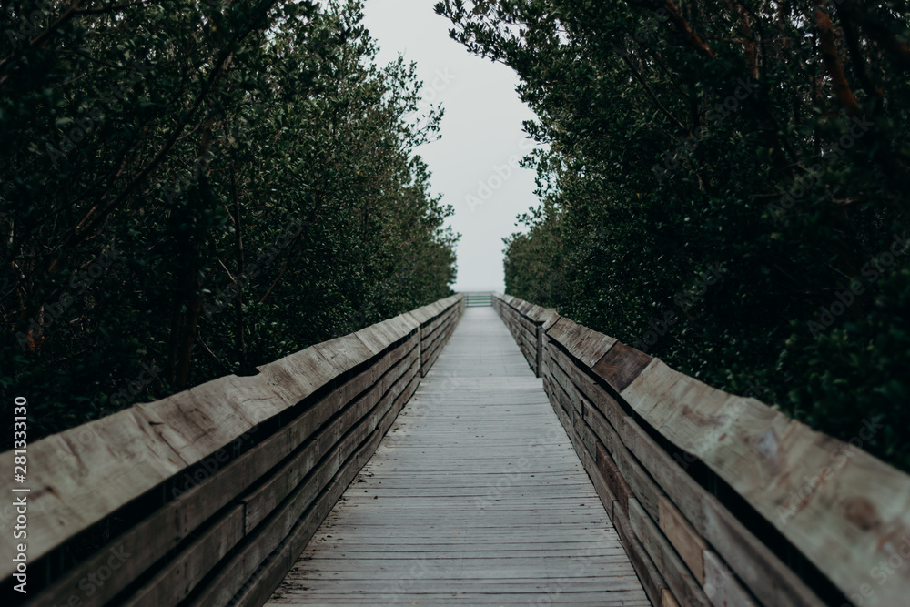 wooden bridge in forest